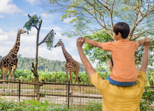 シンガポール動物園